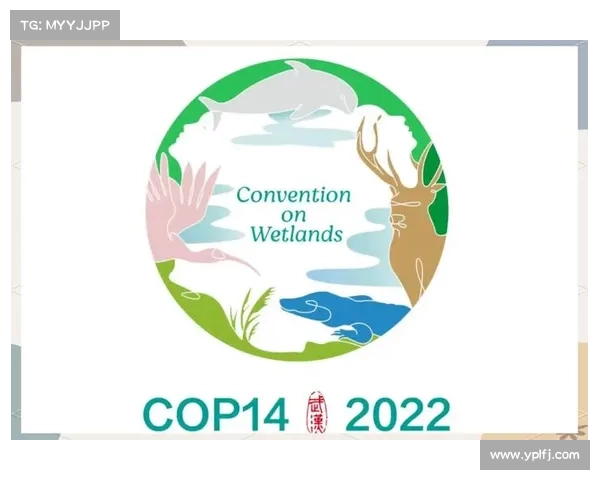 环赛里木湖赛事创新举措启用可降解号码牌守护湿地生态环境 环赛里木湖赛事创新举措启用可降解号码牌守护湿地生态环境