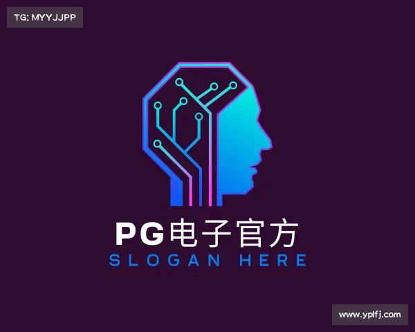 解读pg电子官方